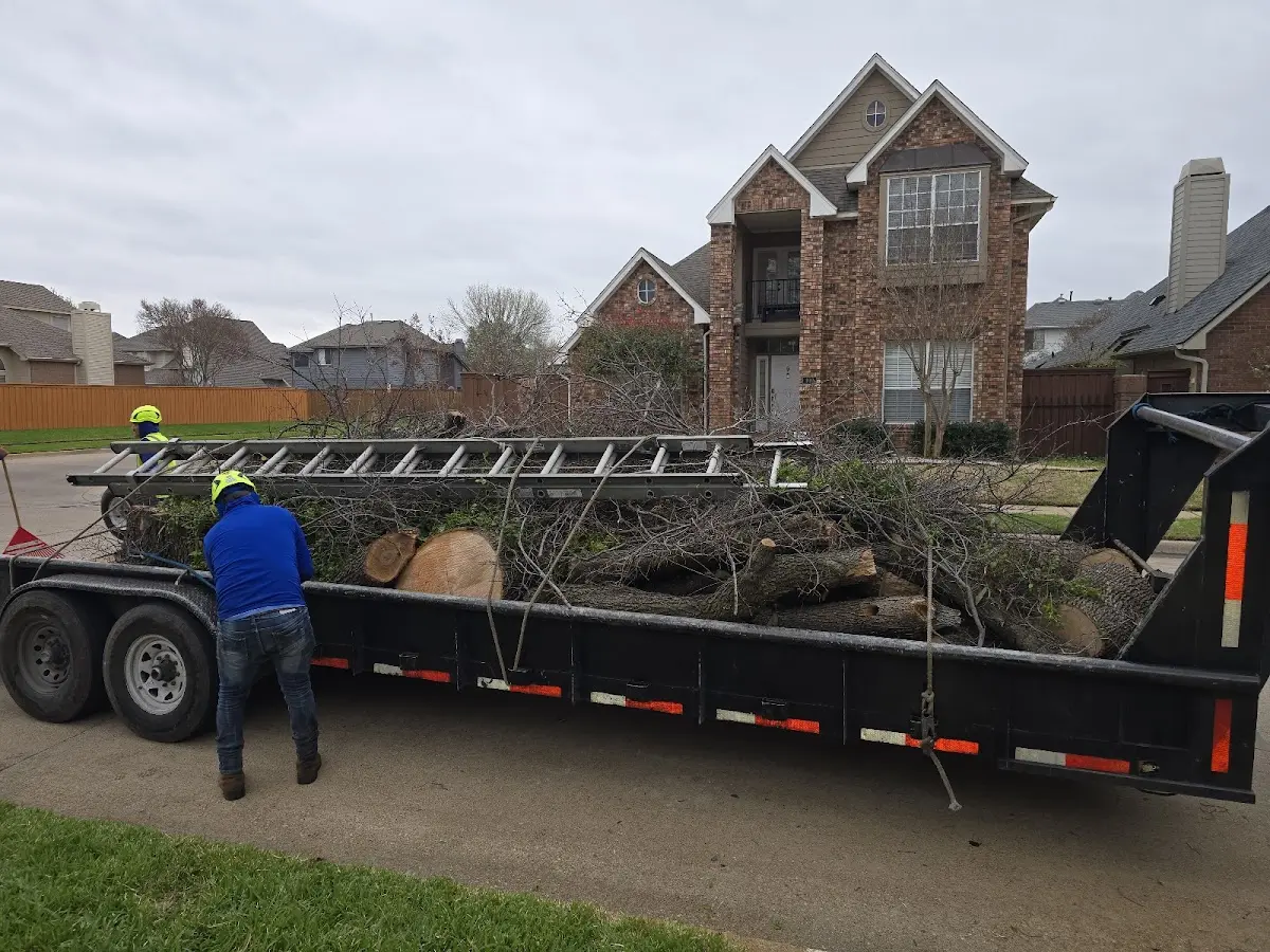 Expert Tree Removal with proper safety equipment in Gervais